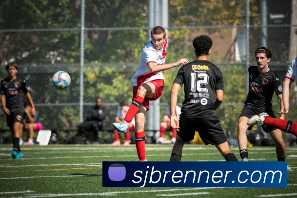 开云平台生态图